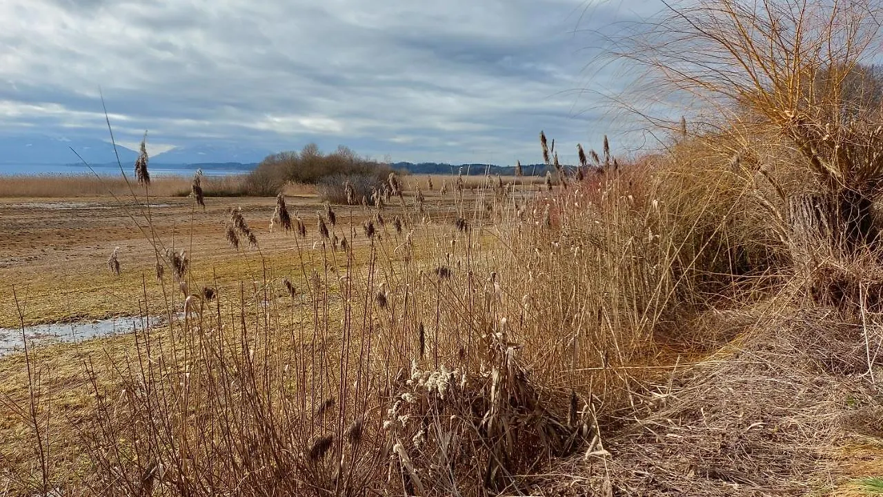 公寓 Tiny X Im Marxhof Seebruck Am Chiemsee 西奥-西布鲁克